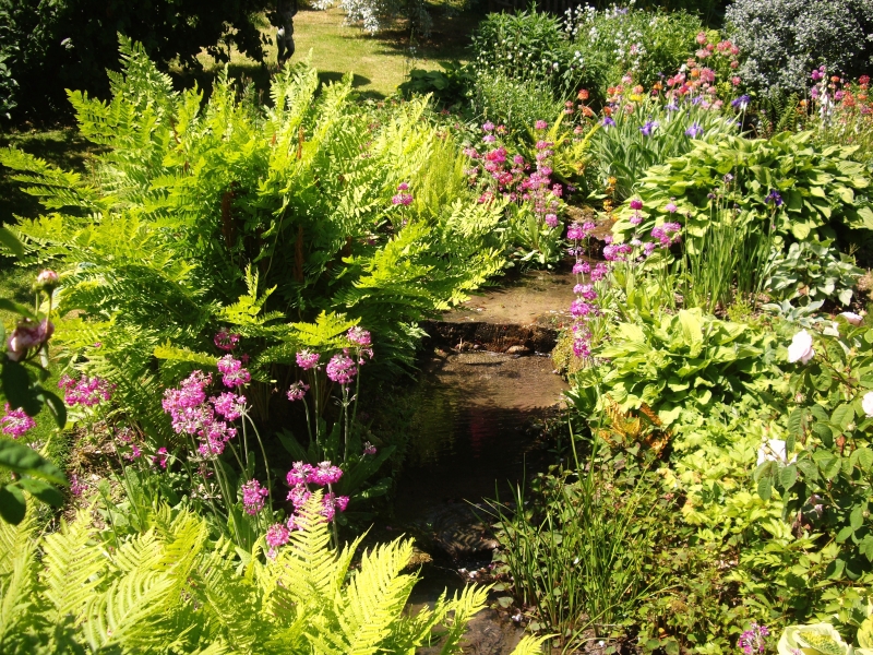 Yorke House & White Rose Cottage